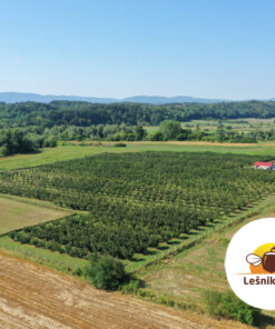 LEŠNIKOVAC