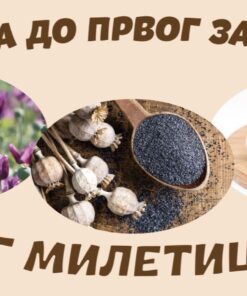 PG MILETICKI