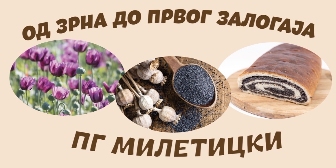 PG MILETICKI