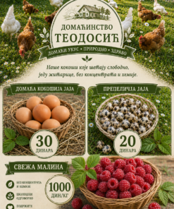 Domaćinstvo Teodosić