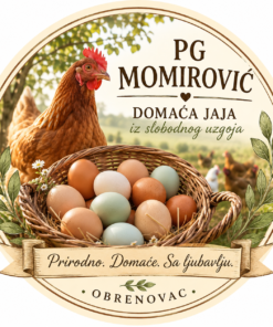 PG MOMIROVIĆ